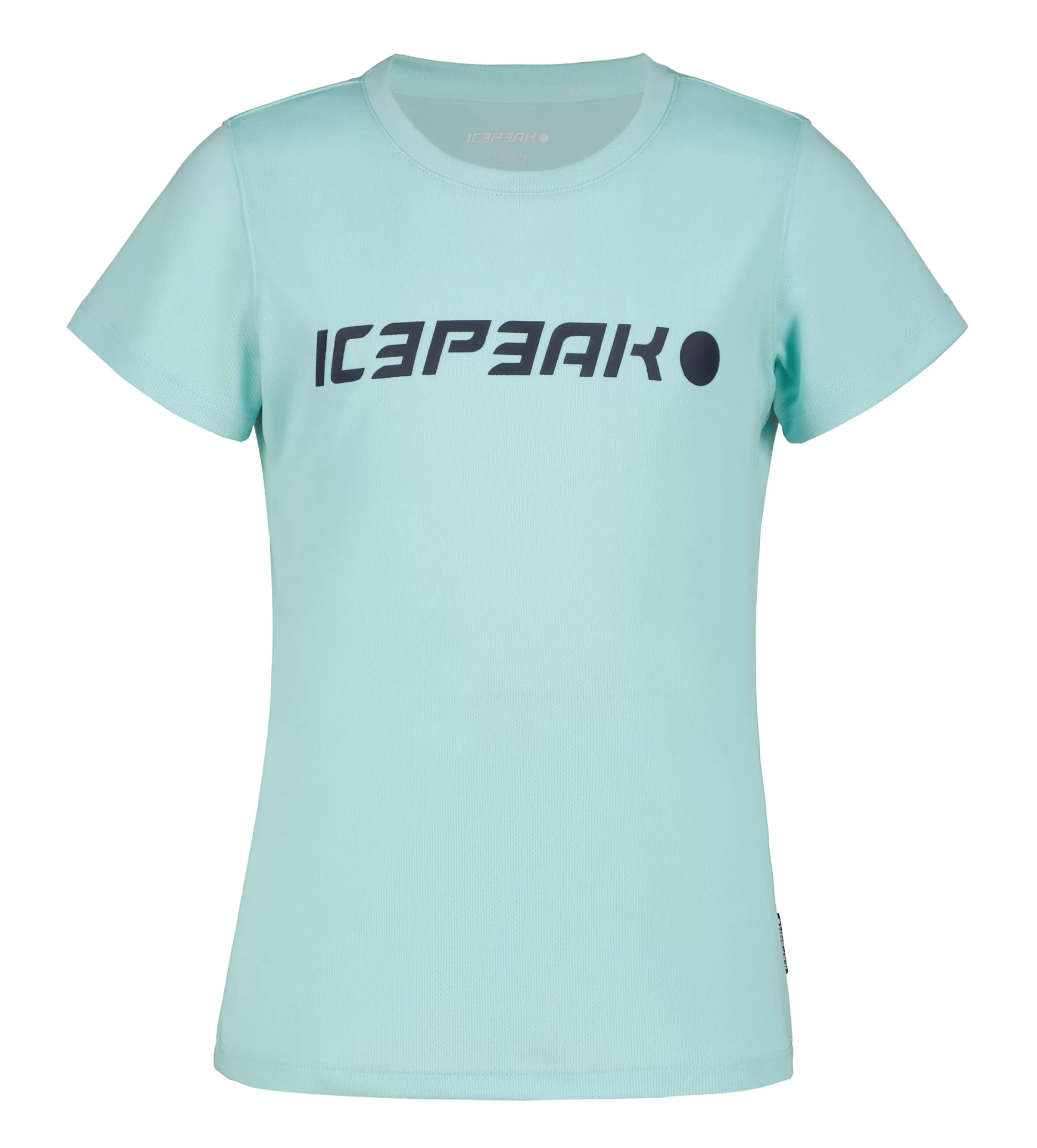 Kearney Jr>ICEPEAK Online