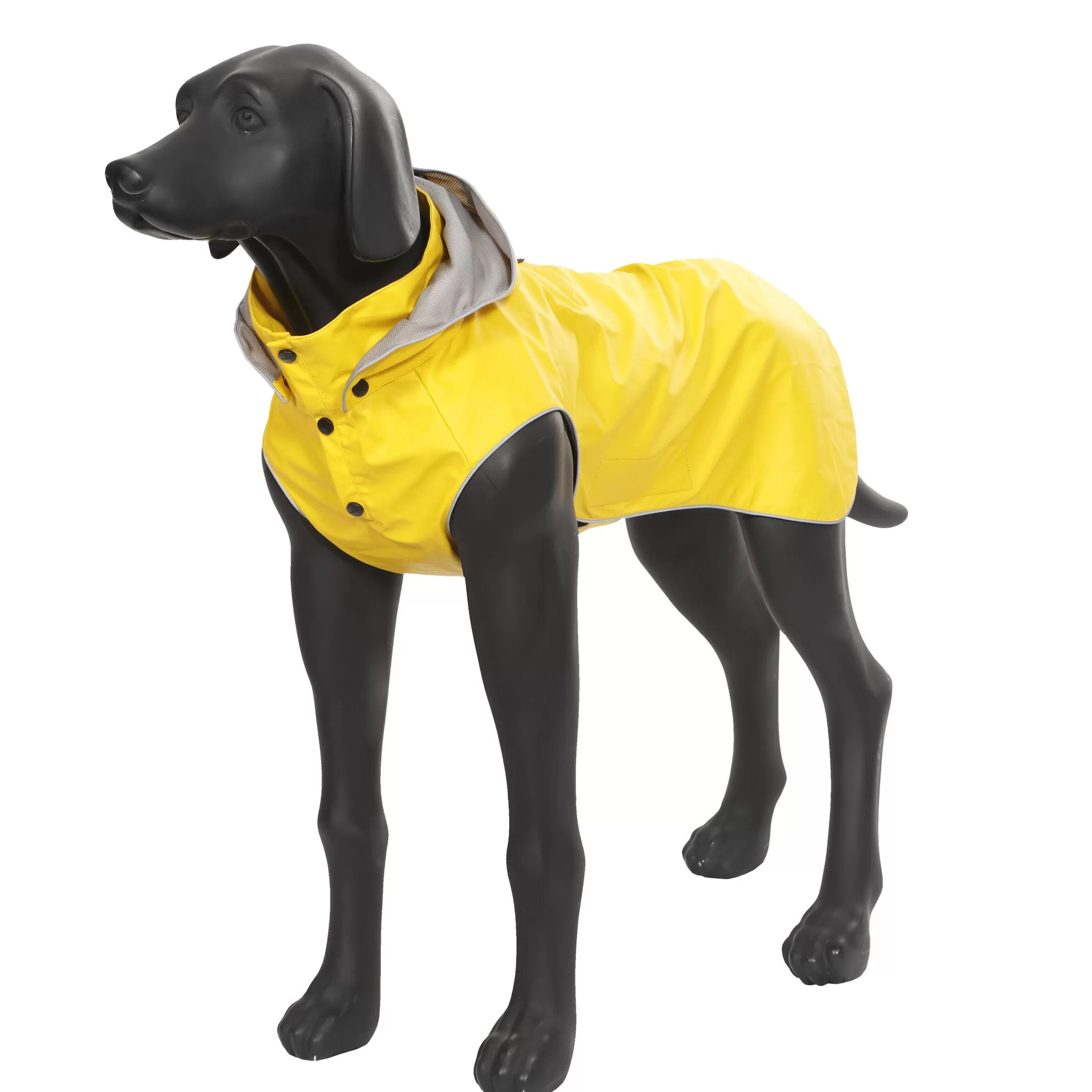 Stream Raincoa>RUKKA PETS Flash Sale